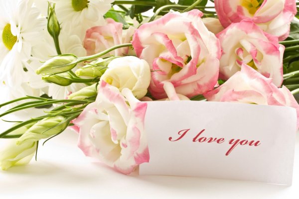 цветок эустома