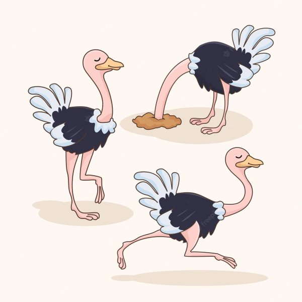 Страуса для детей цветные