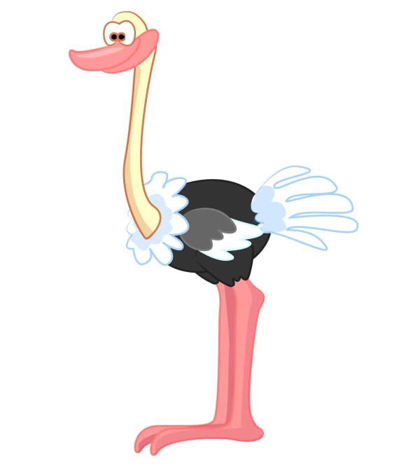 Страуса для детей цветные