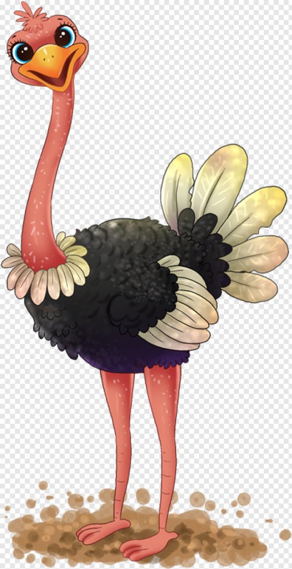 Страуса для детей цветные