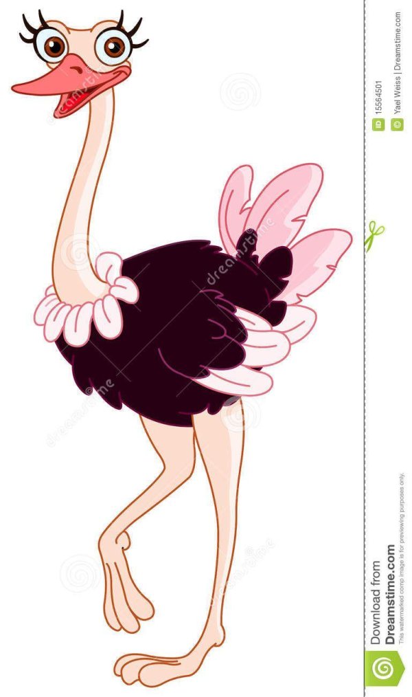 Страуса для детей цветные