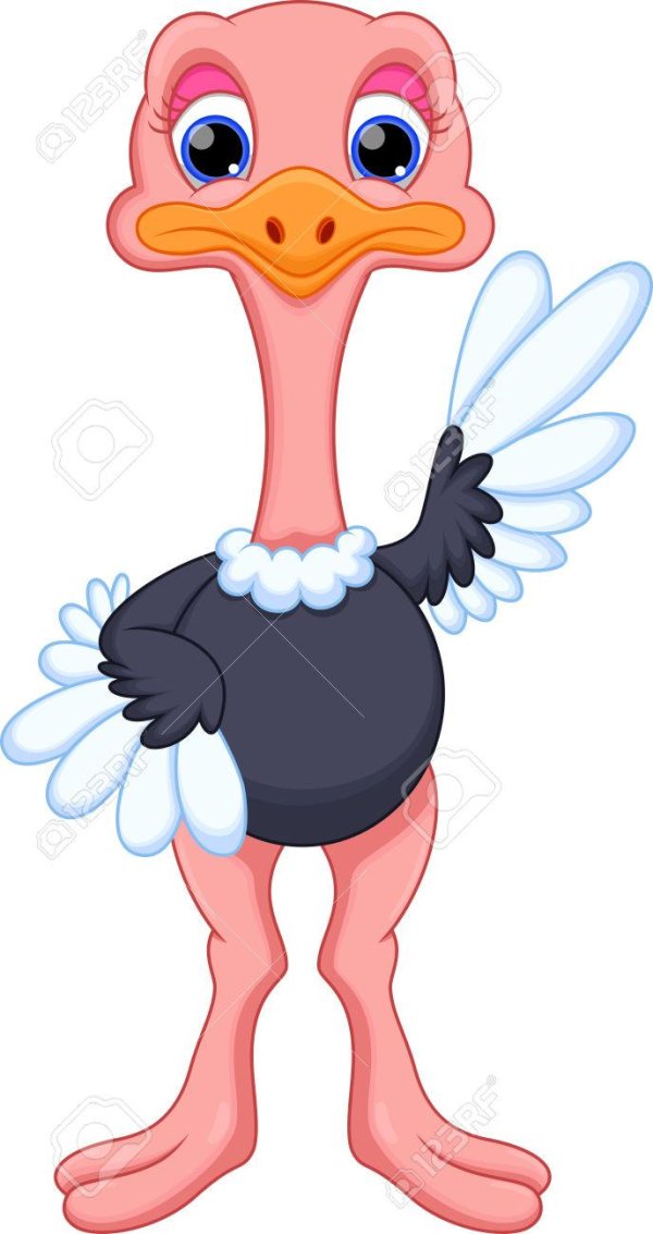 Страуса для детей цветные