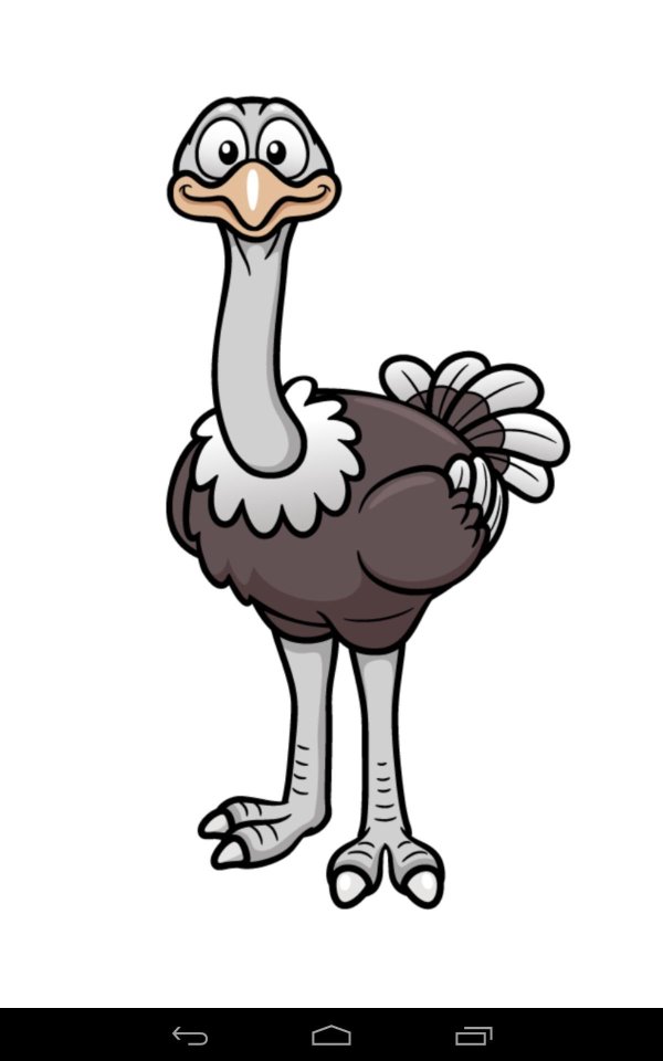Страуса для детей цветные