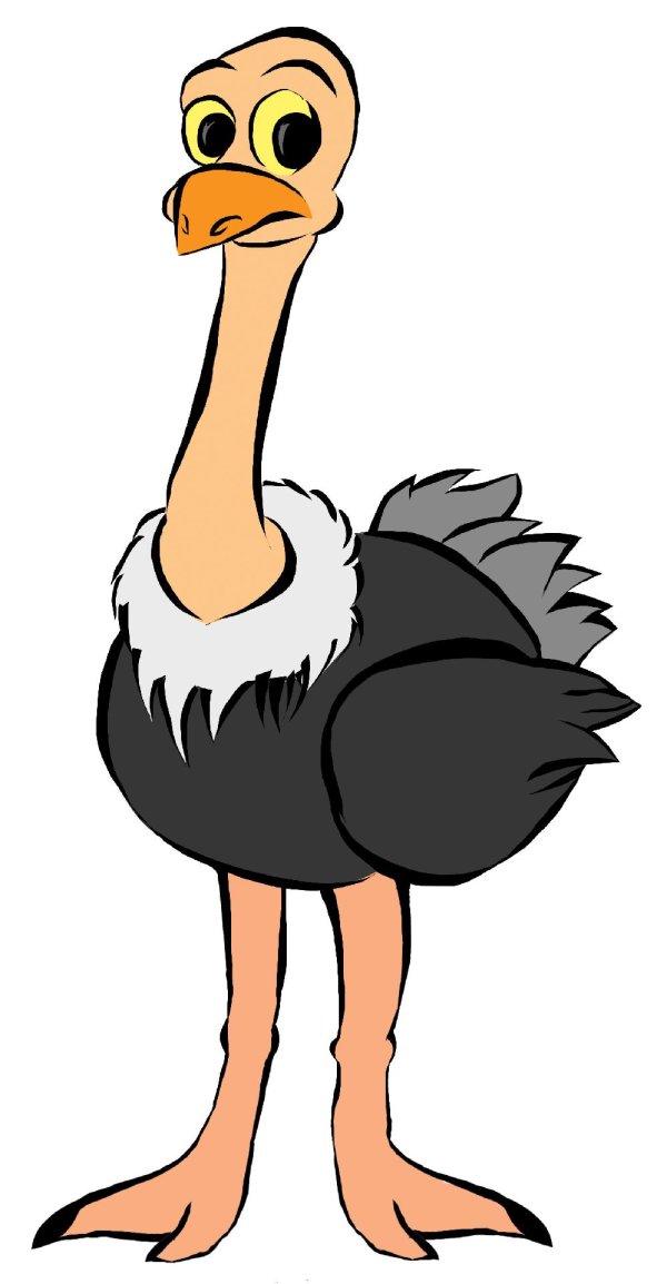 Страуса для детей цветные