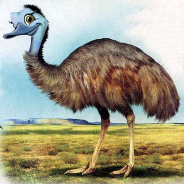 Страуса для детей цветные