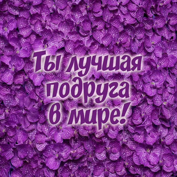 Привет подруга с надписями