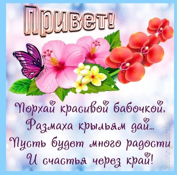 Привет подруга с надписями