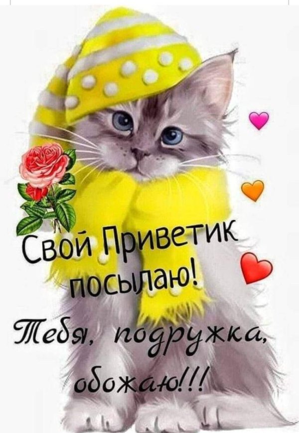 Привет подруга с надписями