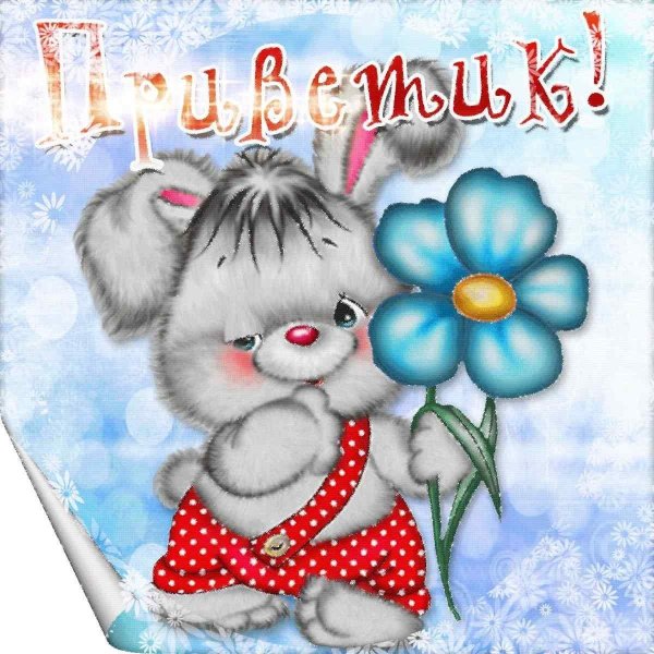 Привет подруга с надписями