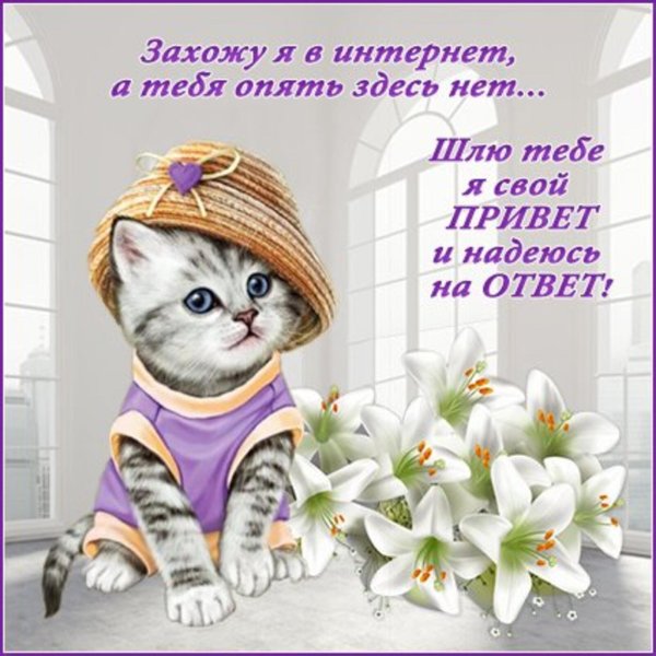 Привет подруга с надписями