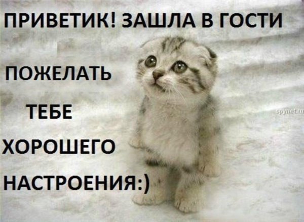 Привет подруга с надписями