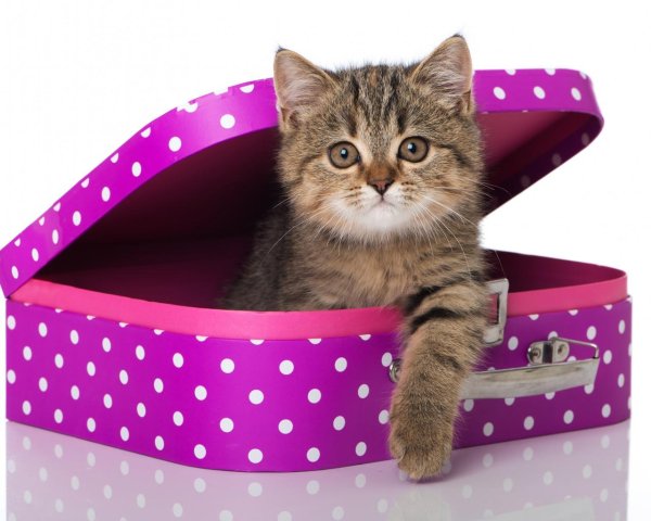 Привет подруга с надписями