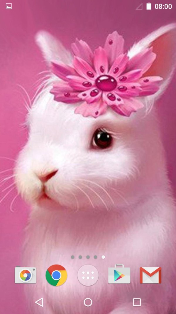 Для телефона для девочек