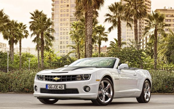 На рабочий стол машины