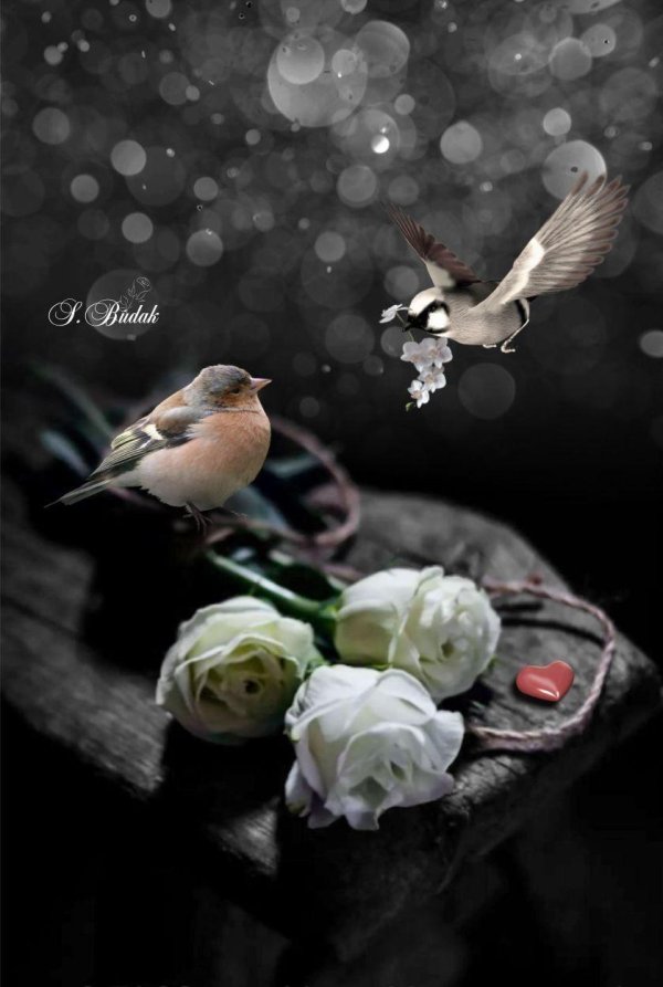 Пусть вечер будет добрым