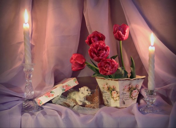 Пусть вечер будет добрым