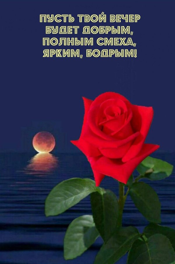 Пусть вечер будет добрым