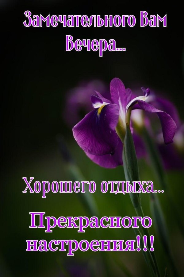 Пусть вечер будет добрым