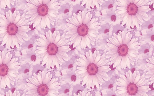 цветочные фоны