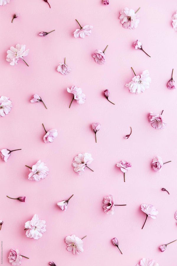 пинтерест розовый