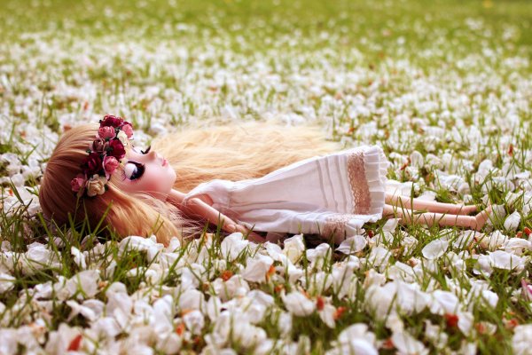 кукла блайз