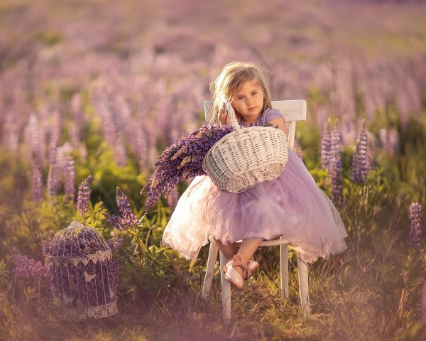 фотосессия лавандовое поле