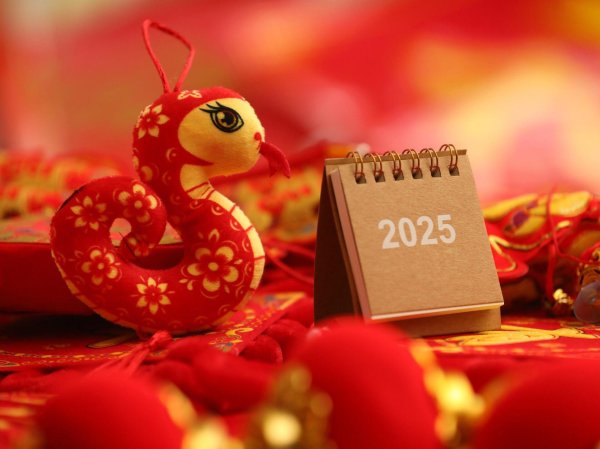 С восточным новым годом