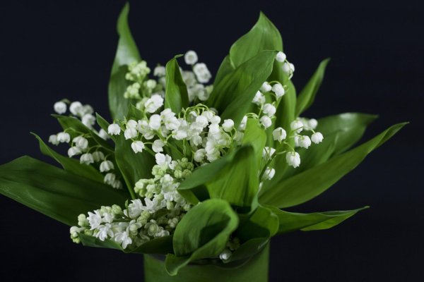 Ландыши на рабочий стол