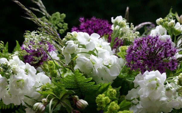 Ландыши на рабочий стол