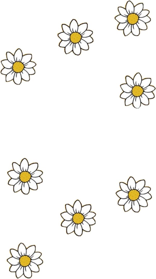 Ромашки на прозрачном фоне