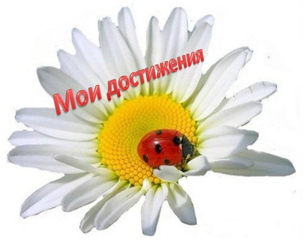 Ромашки на прозрачном фоне