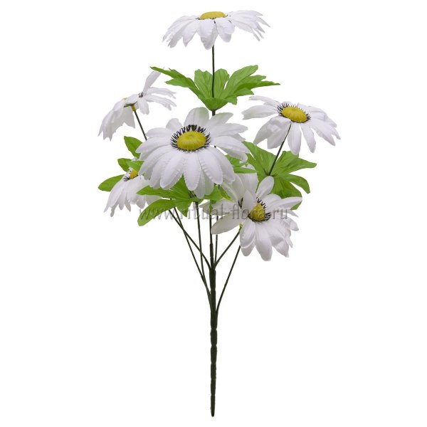 Ромашки на прозрачном фоне