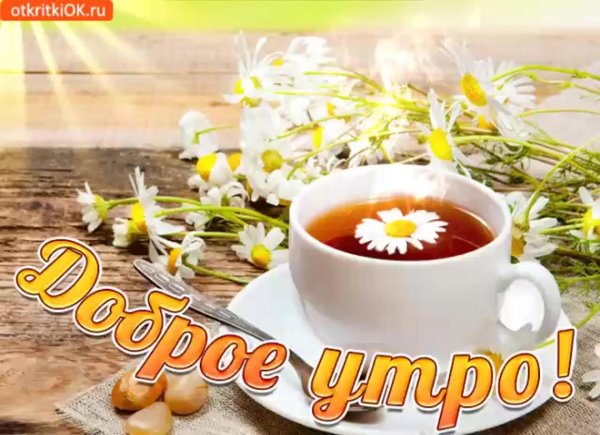 Доброго дня на українській мові