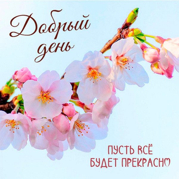 Доброго дня на українській мові