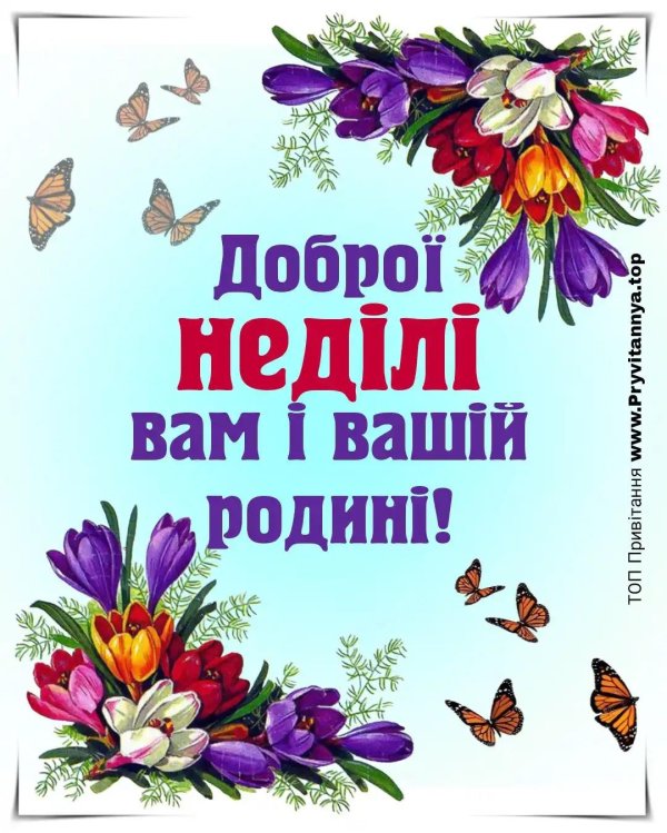 Доброго дня на українській мові