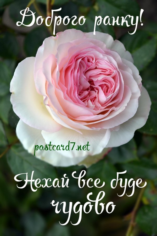 Доброго дня на українській мові