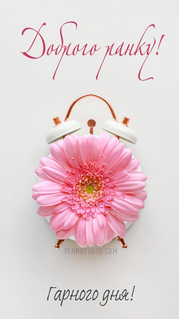 Доброго дня на українській мові