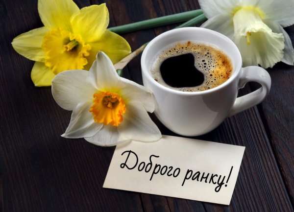 Доброго дня на українській мові