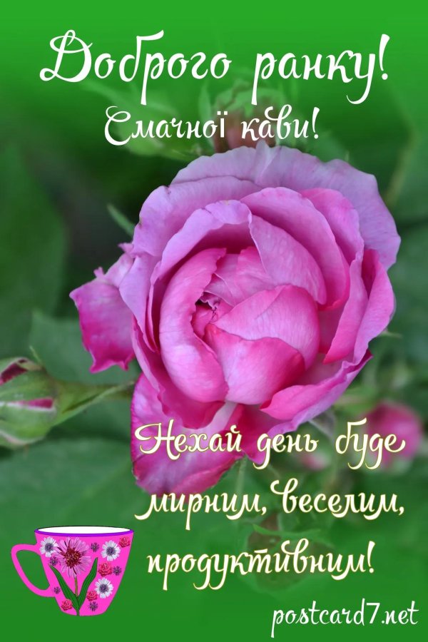 Доброго дня на українській мові