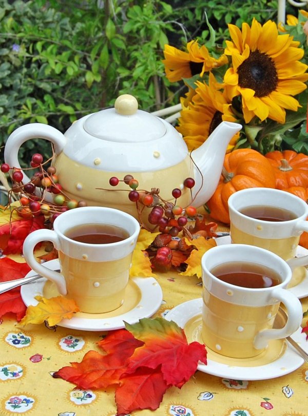 Доброго дня на українській мові