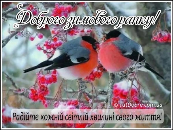 Доброго дня на українській мові