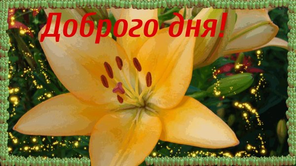 Доброго дня на українській мові