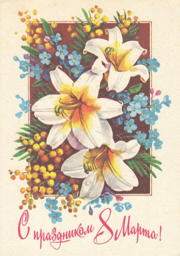 куртенко открытки ссср