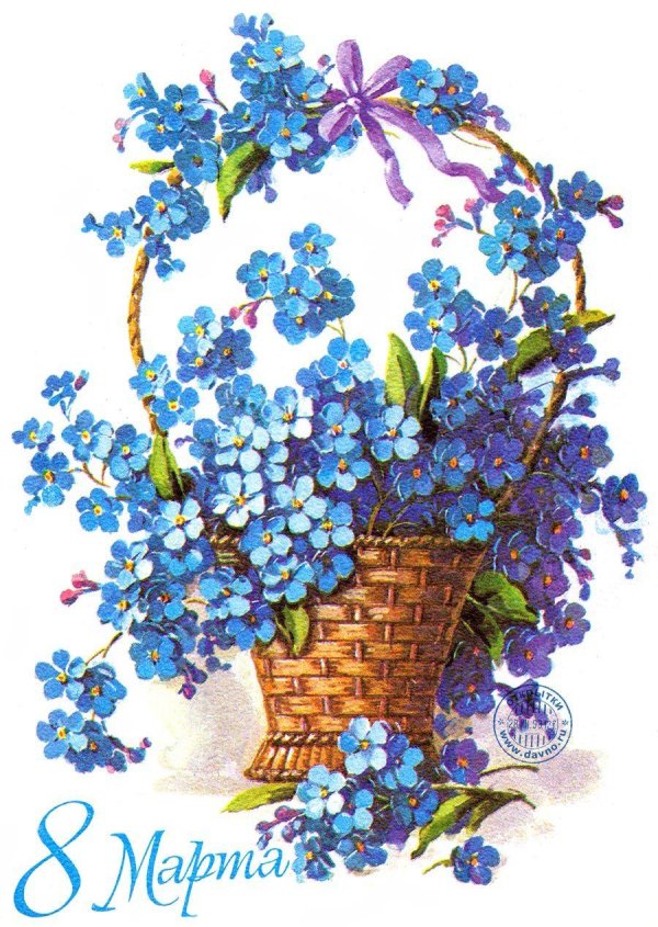 цветок незабудка