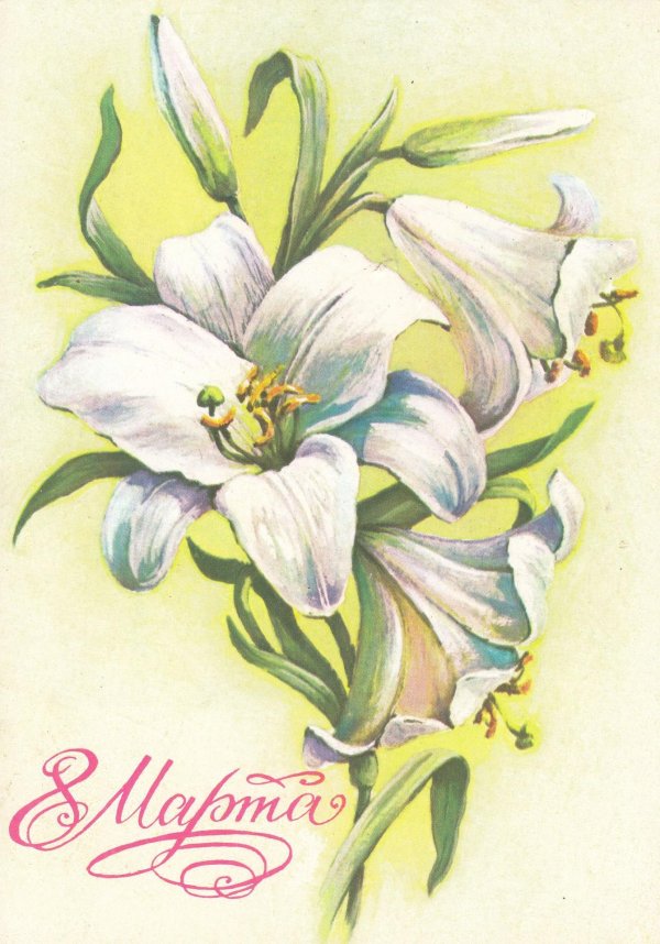 открытка лилии