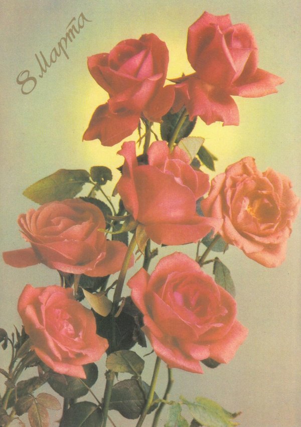 советские открытки с розами