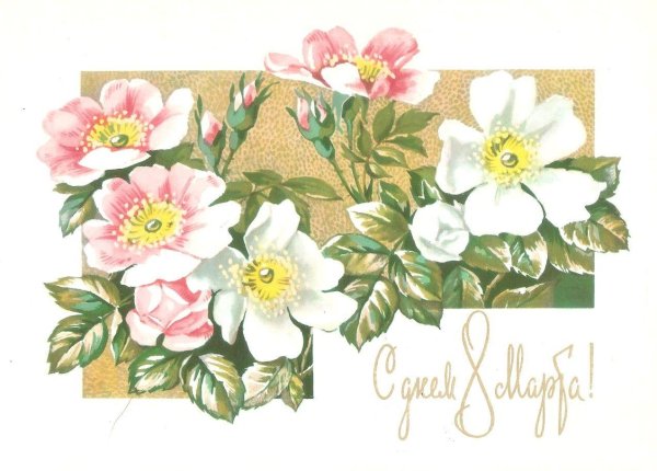 винтажные открытки с цветами