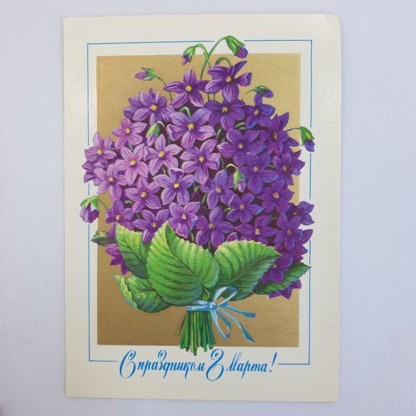 букет фиалки