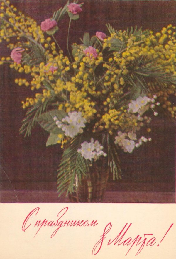 советские открытки с мимозой