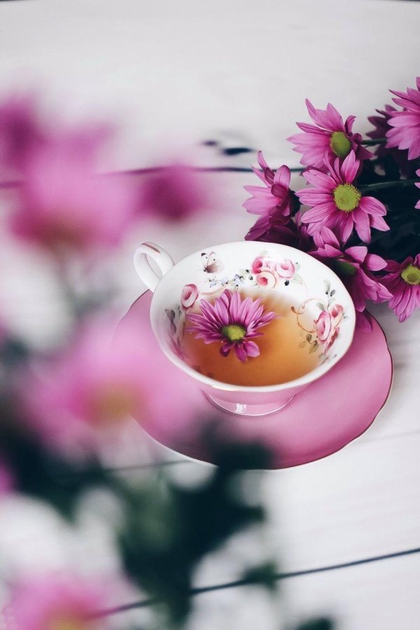 С добрым февральским утром четверга